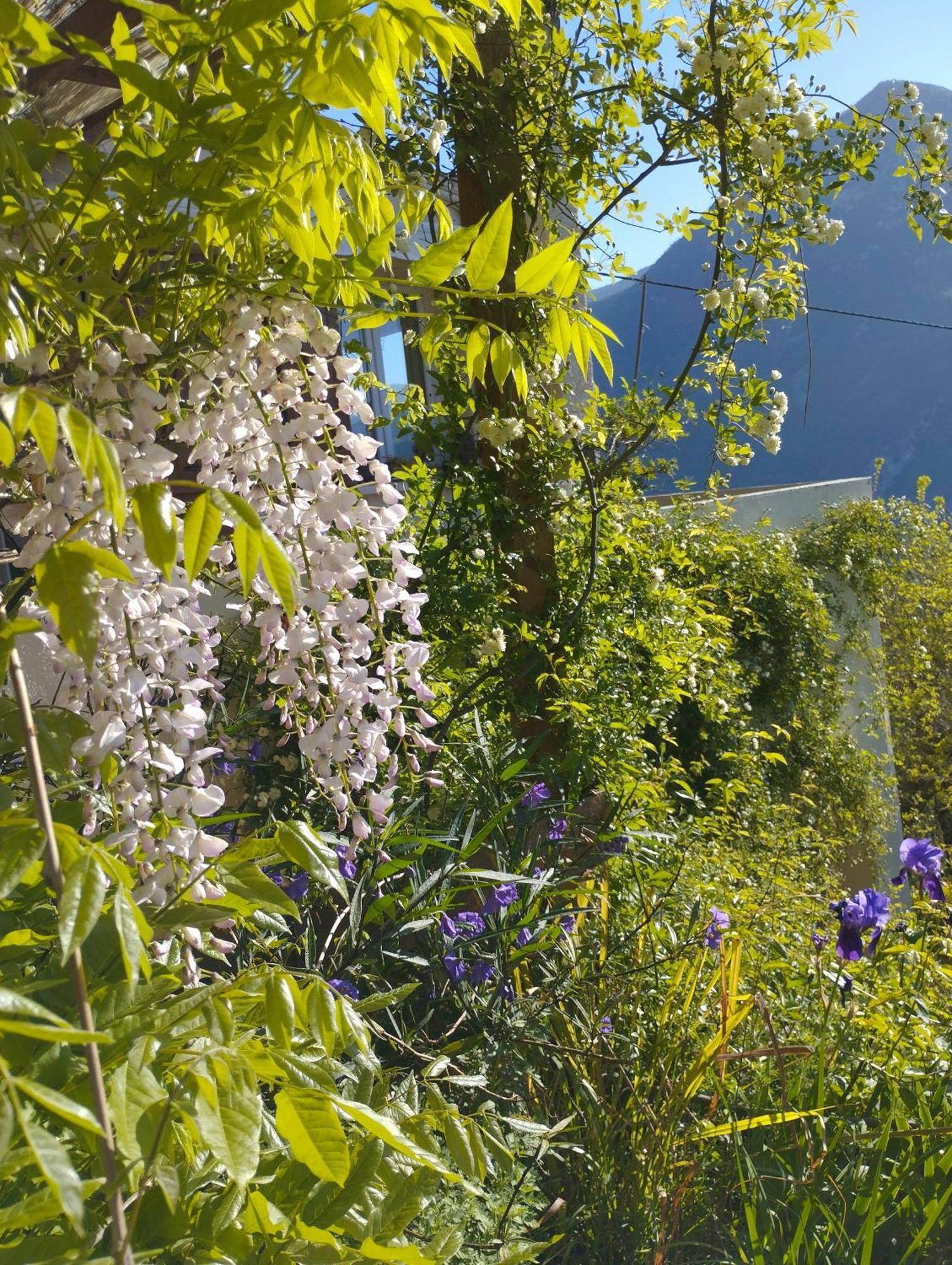 Vila Modestie Breil-sur-Roya Exteriér fotografie